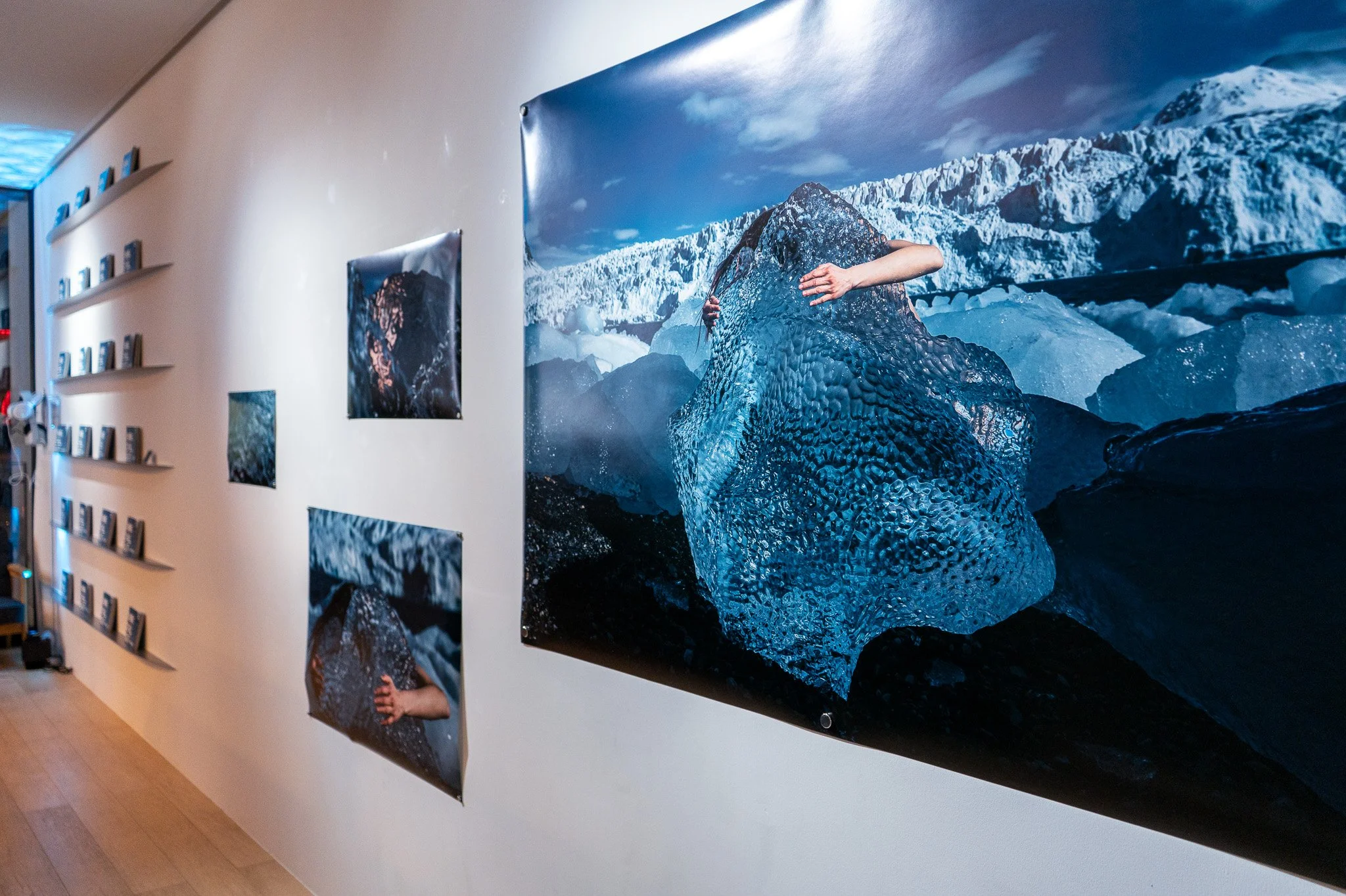 Chill Out: the Arctic Couldn't — Jiabao Li 李佳宝